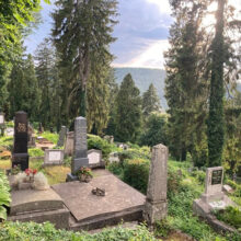 Saxon cemetery 1